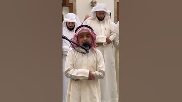 سورة الحِجْر بصوت القارئ عثمان الحداد 🤍🦋 #عثمان_الحداد #عثمان #الحداد #القرآن #سورة_الحجر ●