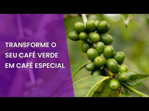 Vídeo: De Que é Feito O Café Verde?