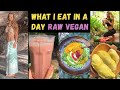 What i eat in a day on a raw food frugivore diet plus things i do in food forest