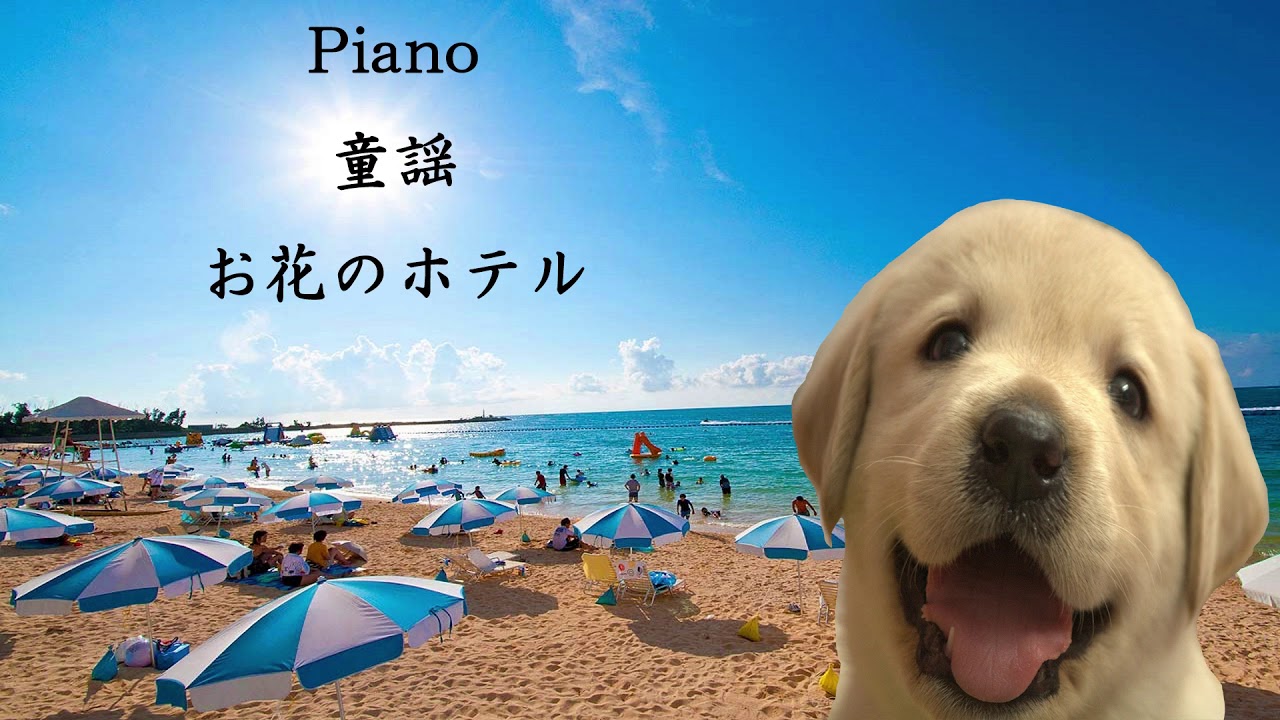 Piano 童謡 お花のホテル Youtube