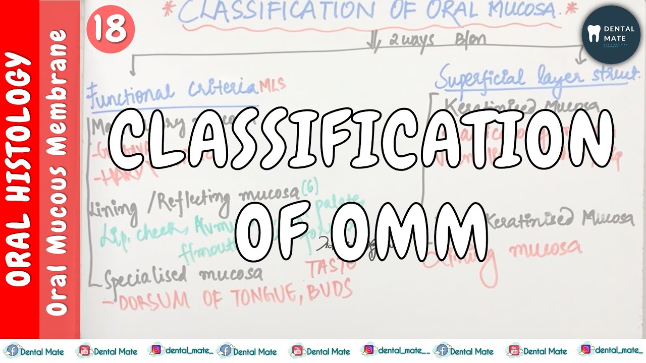 Mucous Classification Classification of Oral Mucous Membrane | OMM | Dr Paridhi Agrawal - YouTube