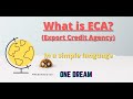 What is Export Credit Agency (ECA)?