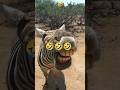 Bihar Land calculator| #video #viral #Shayansmarttools