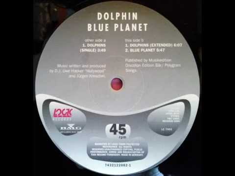 Dolphin — Dolphin - Blue Planet