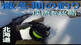 ★12月の北海道　釣れる理由があります：ガイドも凍りつく厳冬期の渓流フライフィッシング  ★Trout Fly Fishing Hokkaido Japan　（対象魚：ニジマス）