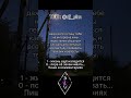 SLM Три бутылки вина музыка рок музыка отчаянные щп одиночество песня отношения любовь SLM Три бутылки вина музыка рок музыка отчаянные щп одиночество песня отношения любовь