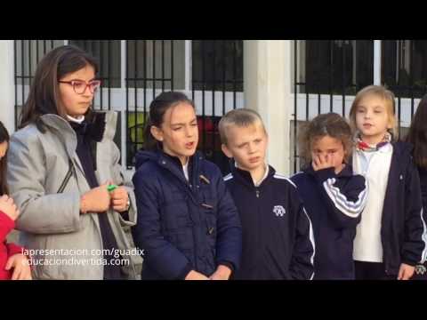 Huerto escolar - Talleres medioambientales en el Colegio de La Presentación de Guadix