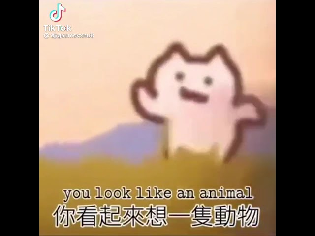 生日快樂惡搞版