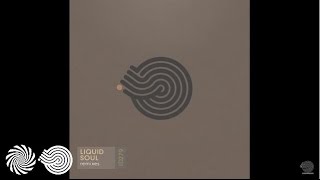 Liquid Soul - Sweet Things (Morten Granau & Metronome remix)