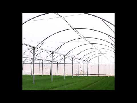 იმერეთის აგროზონა 100 მილიონიანი ინვესტიციით