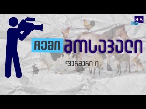 პირუტყვის საკვების წარმოება