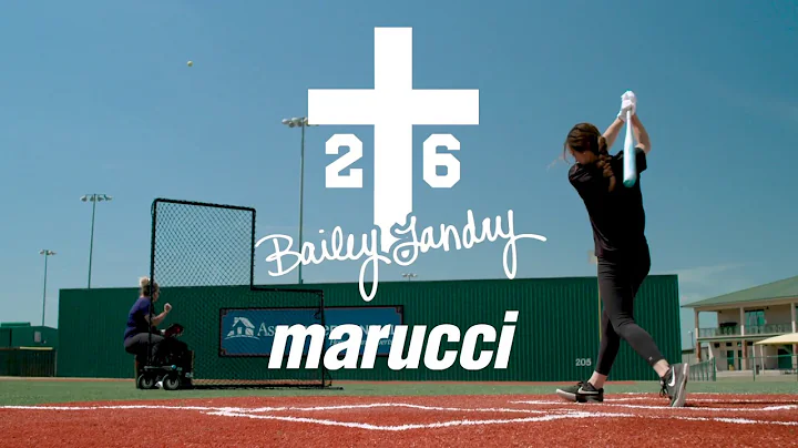 Bailey Landry: BL26 Series