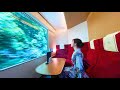 Board Japan's most popular sightseeing train, the Shimakaze, in a private room!