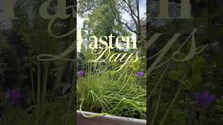 Slow down!Glow up!#fasten #intervallfasten #gesundheit#abnehmen