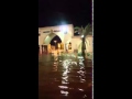 أمطار الخير فى الطائف تغرق مدخل الجامعة 2016 5 2 