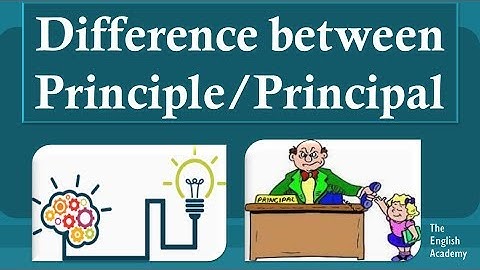 Principal, Principle Meaning, examples, difference. Homophone words