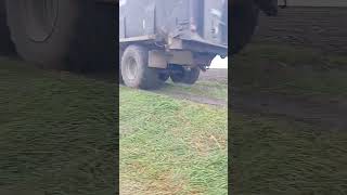 kopanie buraków oporowo