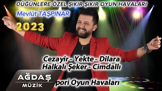 Mevlüt Taşpınar - 2023 Potpori (Cezayir, Yekte, Dilara, Halkalı Şeker, Cimdallı