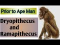 Dryopithecus and ramapithecus | prior to apr man | prior to ape man in hindi.