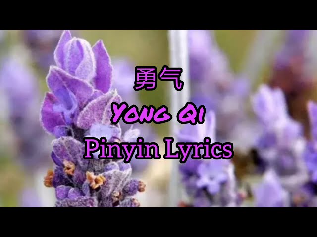 棉子 Mian Zi - 勇气 Yong Qi | Dũng Khí [Pinyin Lyrics] class=