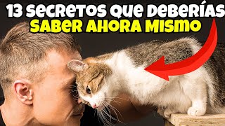 13  COMPORTAMIENTOS  para ENTENDER  a tu GATO 😺 by Mascotas Sanas Y Felices 2,553 views 2 months ago 13 minutes, 34 seconds