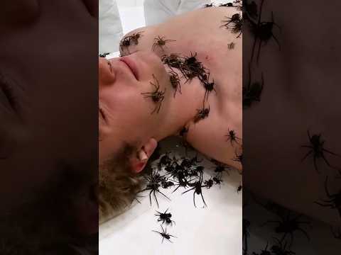 mrbeast ki short Video  viral Video#viralvideo