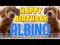 Happy Birthday Albino! ( Funny Talking Dogs ) What Is Free On My Birthday