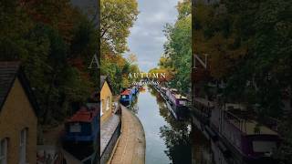 Autumn in London 🍁🎃 | #londoner #shortsvideo