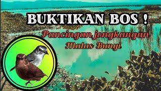 Coba buktikan|TERAPI DAN PANCINGAN, JONGKANGAN MALAS BUNYI