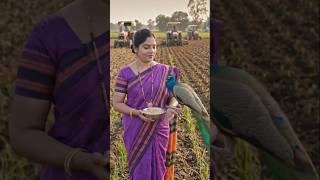 Koyal Boli Duniya Doli samjo#shortvideo #ytshorts #alka**ap viral video..