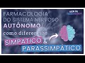 FARMACOLOGIA do Sistema Nervoso Autônomo #1⎟Diferenças anatômicas e fisiológicas