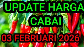 Update harga cabe rawit hari ini 3 Februari 2026 di pasar induk pare kediri jawa timur 
