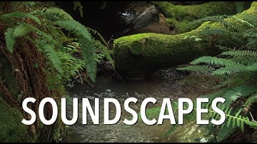 Soundscapes – Part 1
