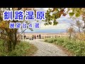 【釧路湿原】日本最大の釧路湿原を眺める展望台４選　Kushiro Shitsugen National Park