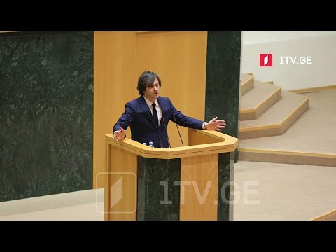 ევროინტეგრაციის პროცესი - დებატები პარლამენტში