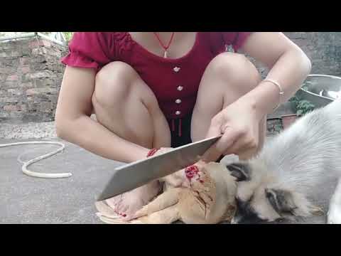 Girl Slaughtering A Chicken