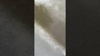 IMG 4897