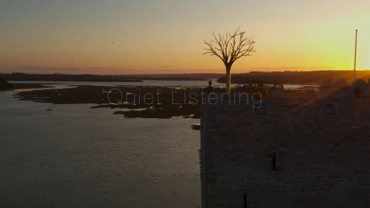 Belvelly Castle, Drone