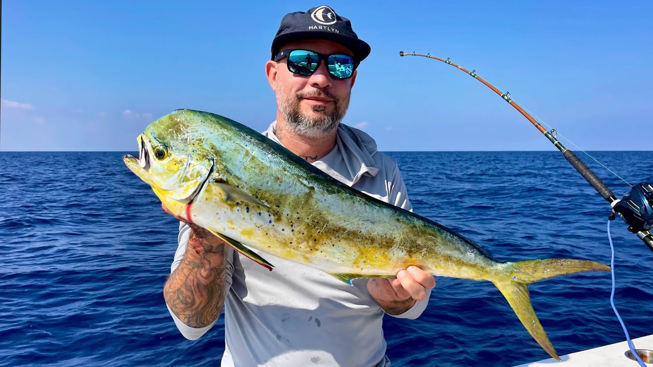 Surprise MAHIMAHI while deep dropping YouTube