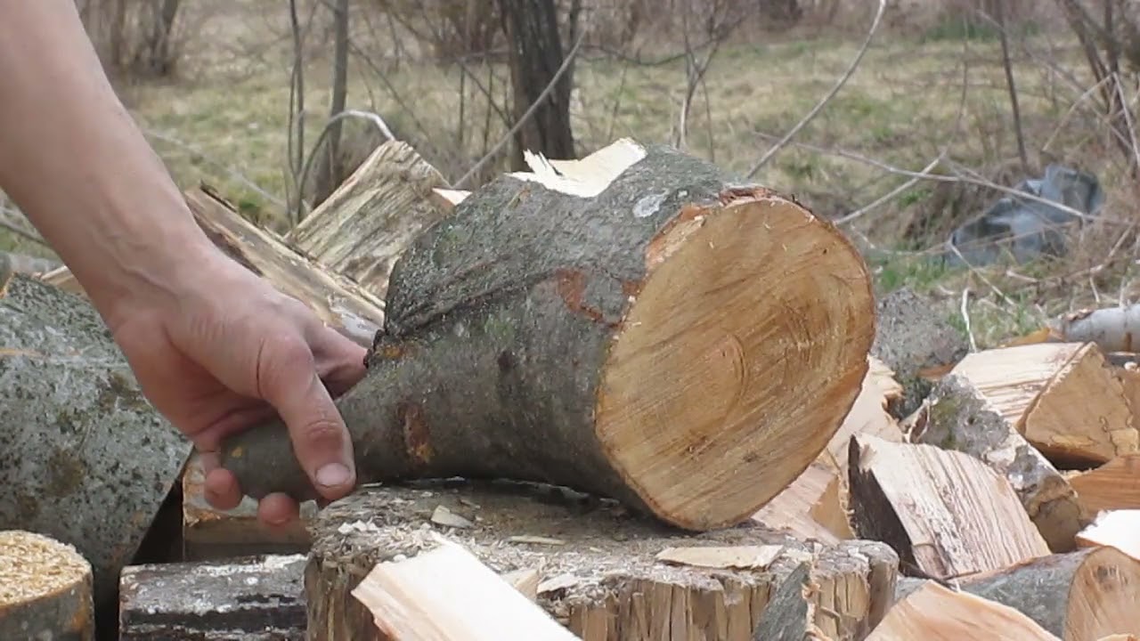 Карпаты дрова колка 2021 2 Лимфатическая система.