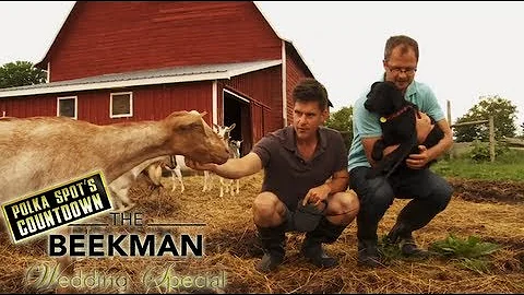 Polka Spot's Countdown to The Beekman Wedding Spec...