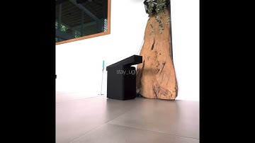 OG Buda - Кто если (snippet 15.01.25)