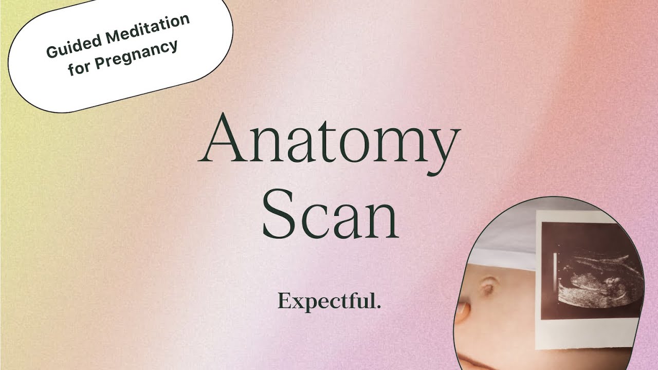Guided Meditation for Pregnancy: The 20-Week Anatomy Scan | Expectful ...