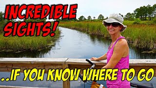 Fort Pickens Campground. 3 MUST-DO Activities and Camping Tips. by Chris Chrisman Travel Adventures 2,580 views 1 year ago 10 minutes, 59 seconds
