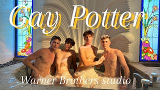 Gay Potter story from London😋 Warner brothers studio was magical. #gay #twins #harrypotter