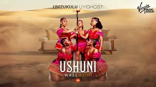 3. Ushuni Wasemzini - Ngizomshaya Phansi (Feat Shenge Wasehlalankosi) (Official Audio)