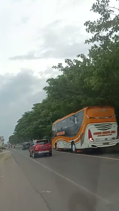 Bus STJ Ngebut Kencang #shorts