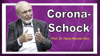 Hans-Werner Sinn: Wer profitiert von der Corona-Krise? Unbequeme Wahrheit über Hilfsgelder!!