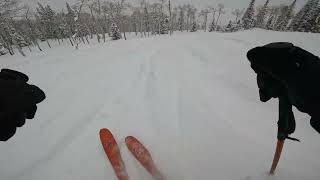 Steamboat Springs, James Bond Trees w/ V & Bros, 1/27/23 screenshot 5