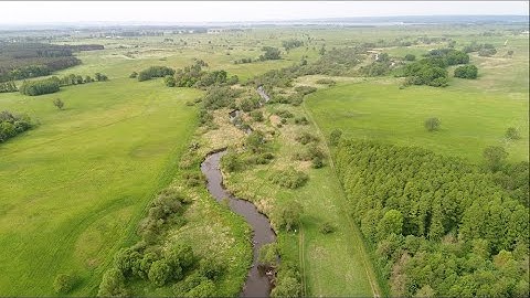 EOCA funded project 2021: Rewilding Oder Delta -  Promoting Wildlife Comeback in Ina River